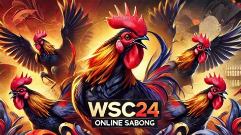 sabong24 live